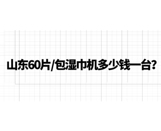 山東60片/包濕巾機多少錢一臺？